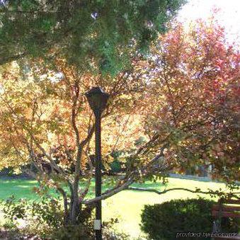 Hotel Econo Near Snake River Idaho Falls